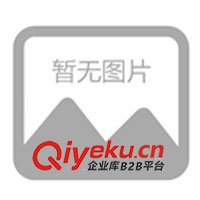 供應廣西鉚釘機、江門鉚釘機、陽江鉚釘機